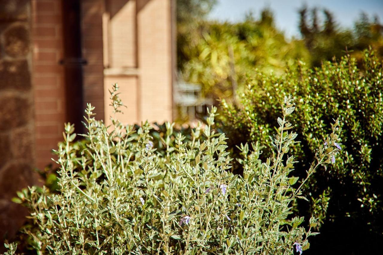 Piccolo Hotel La Valle Pienza Exteriör bild